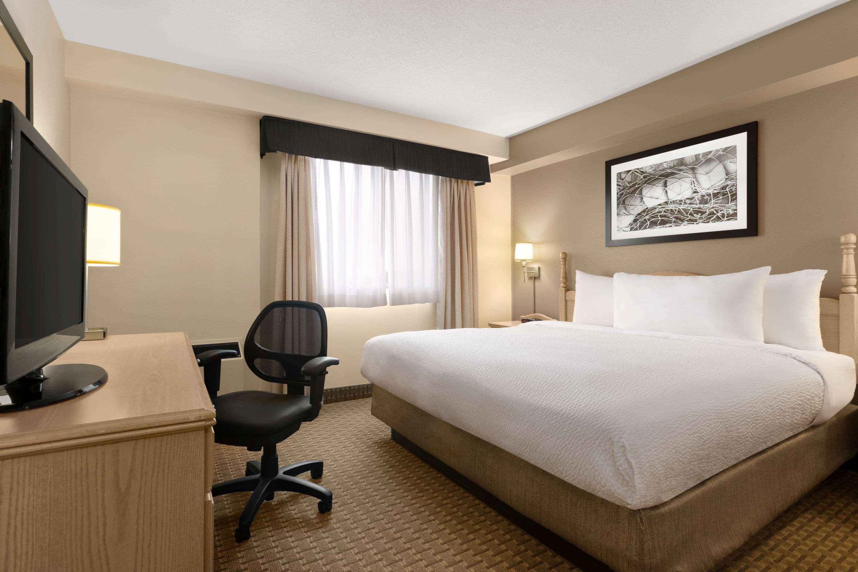 Travelodge Suites By Wyndham Moncton Extérieur photo